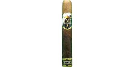 Close-up shot of a single Blue Mountain Cigars Etnia with a silky, medium-brown Dominican wrapper.