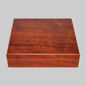 Interior view of the compact cigar humidor with a built-in hygrometer.