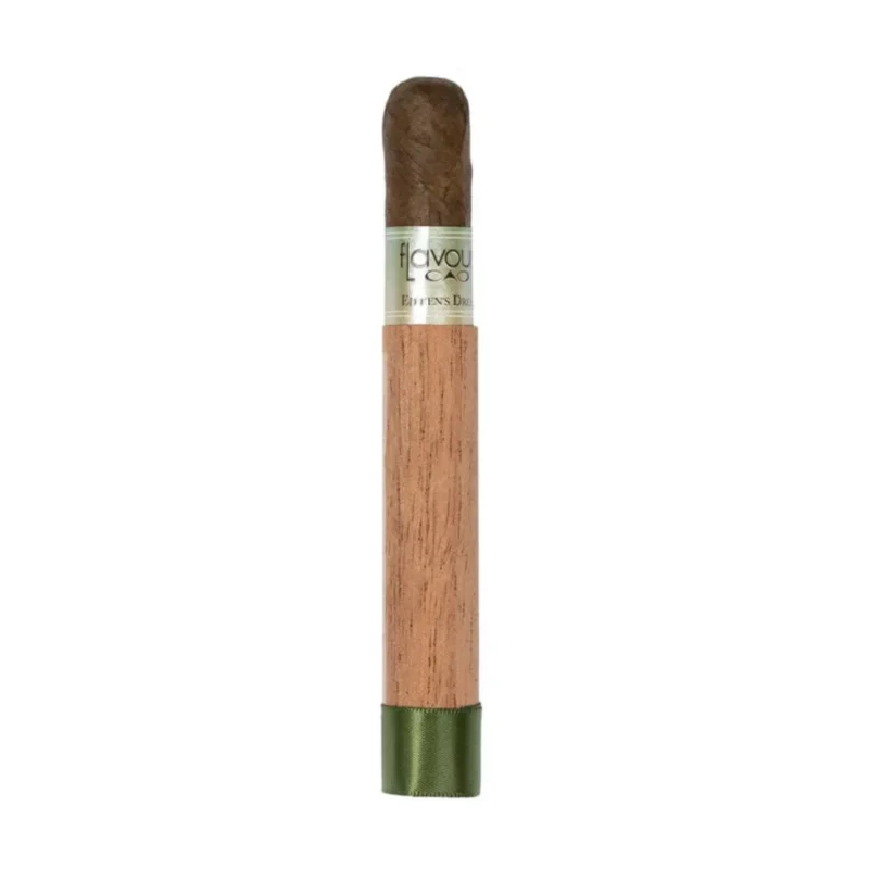 CAO Eileen s Dream Petit Corona