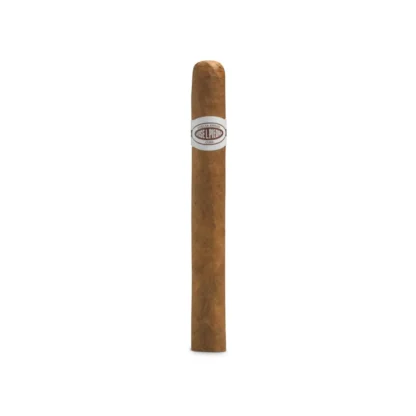Jose L. Piedra Conservas cigar with a smooth, medium-brown Colorado wrapper, featuring a gold and brown logo band, showcasing its premium Cuban craftsmanship
