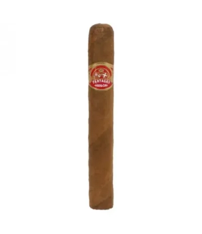 Partagas Super Partagas cigar - premium handcrafted cigar with a rich brown wrapper, showcasing bold flavor and classic Cuban-inspired design.
