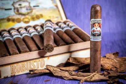 Maceda Habano Robusto 5-Pack cigar bundle – Nicaraguan blend