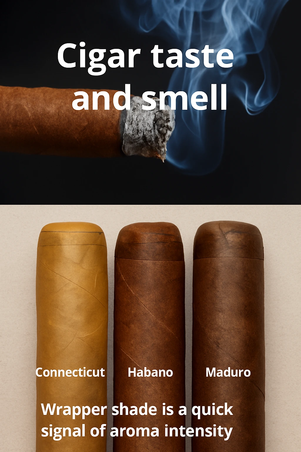 Cigar taste and smell shown by a close-up of smoke and ash, comparing Connecticut, Habano, and Maduro wrappers
